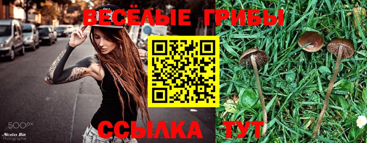 Галлюциногенные грибы MAGIC MUSHROOMS  Галлюциногенные грибы Psilocybe  Вход с VPN  Буйнакск 